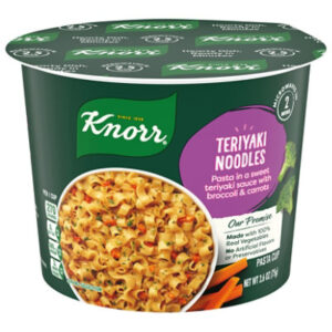 Knorr Teriyaki Noodles Pasta Cup 2.6 Oz - 2.6 OZ
