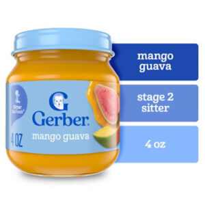 Gerber Infant Puree 2nd Foods Fruit Mango Guava 4oz Jar - 4 OZ