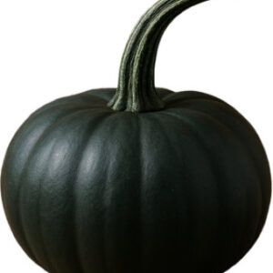 Eclipse Pumpkin - EA